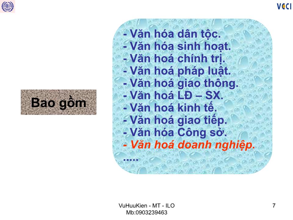 Bài giảng Văn hóa doanh nghiệp - Vũ Hữu Kiên trang 7