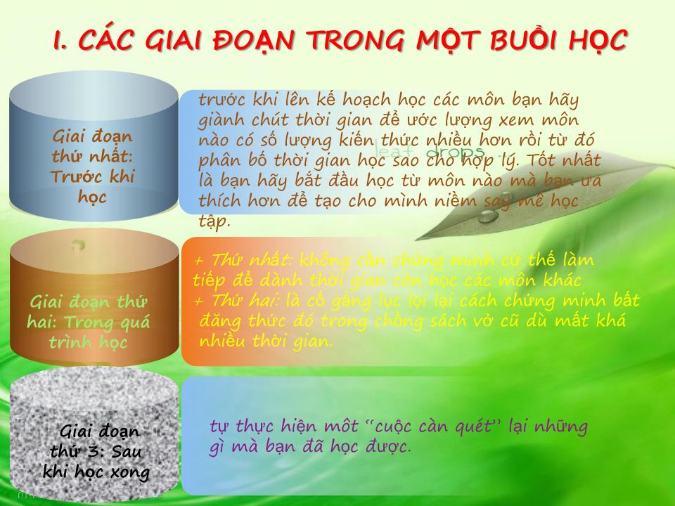 Bài giảng Phương pháp học tập tốt cho sinh viên trang 5