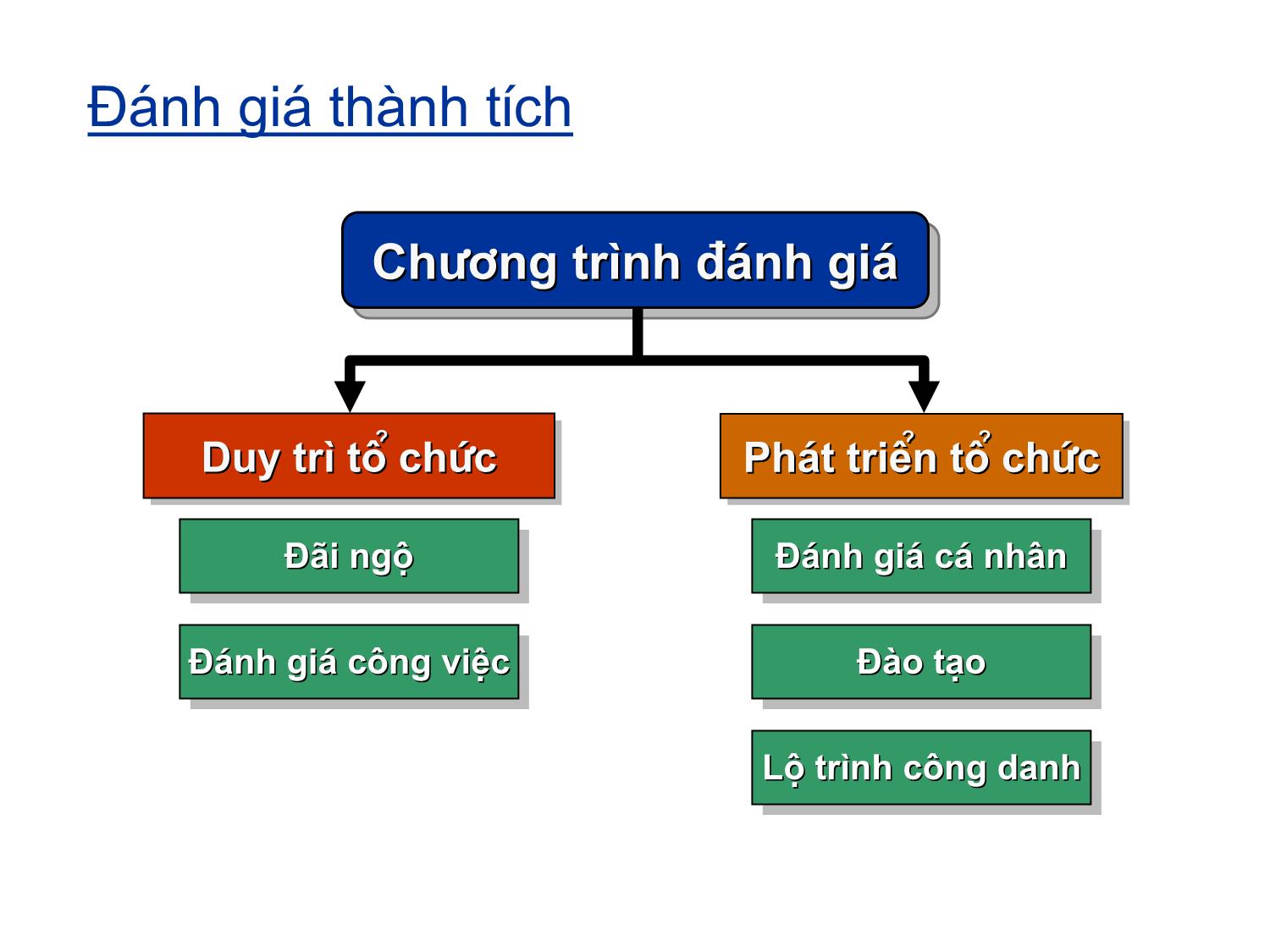 Bài giảng Đánh giá thành tích trang 2