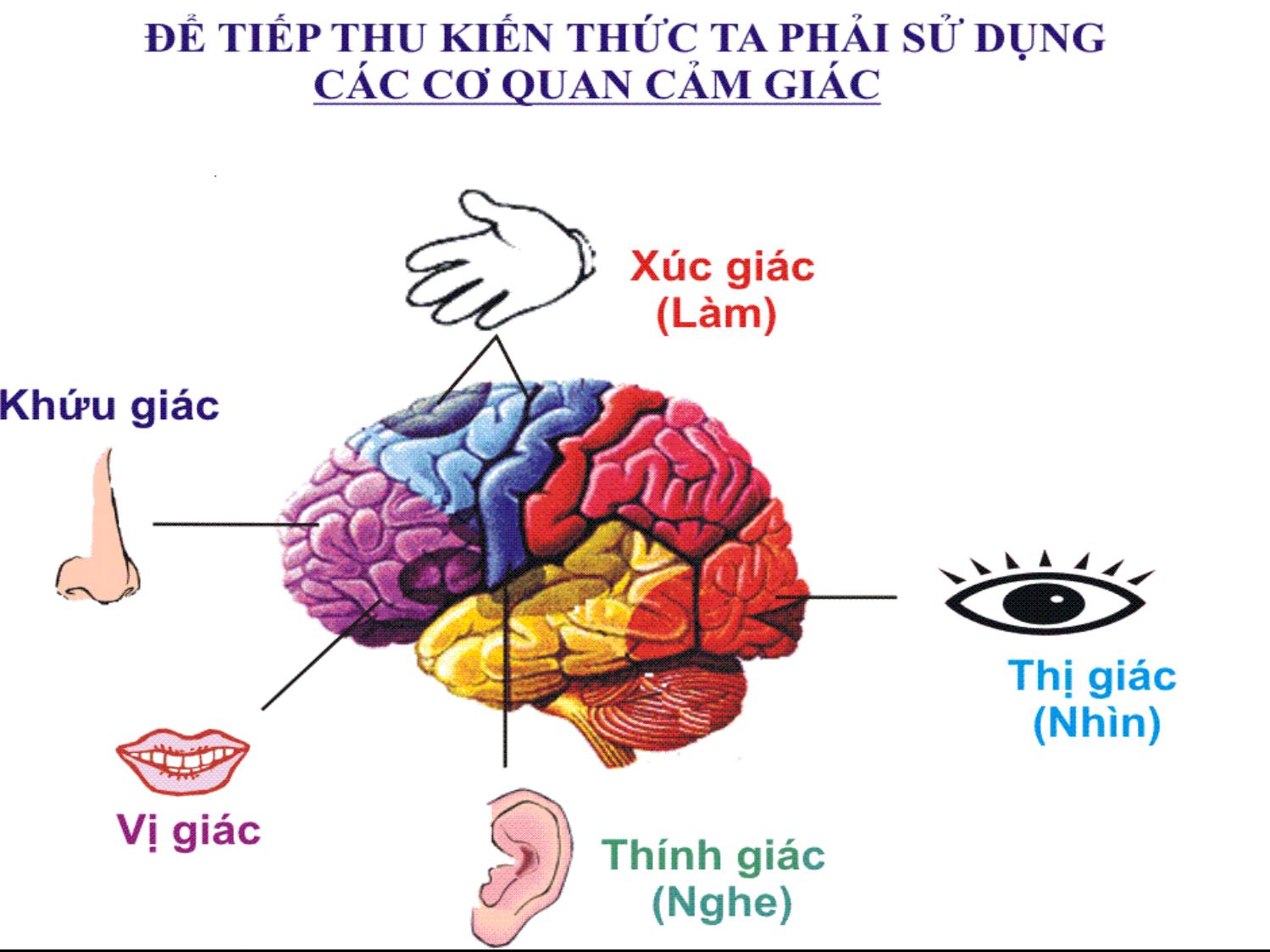 Bài giảng Hướng dẫn phương pháp tự học trang 6