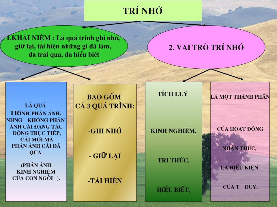 Bài giảng Trí nhớ trang 4