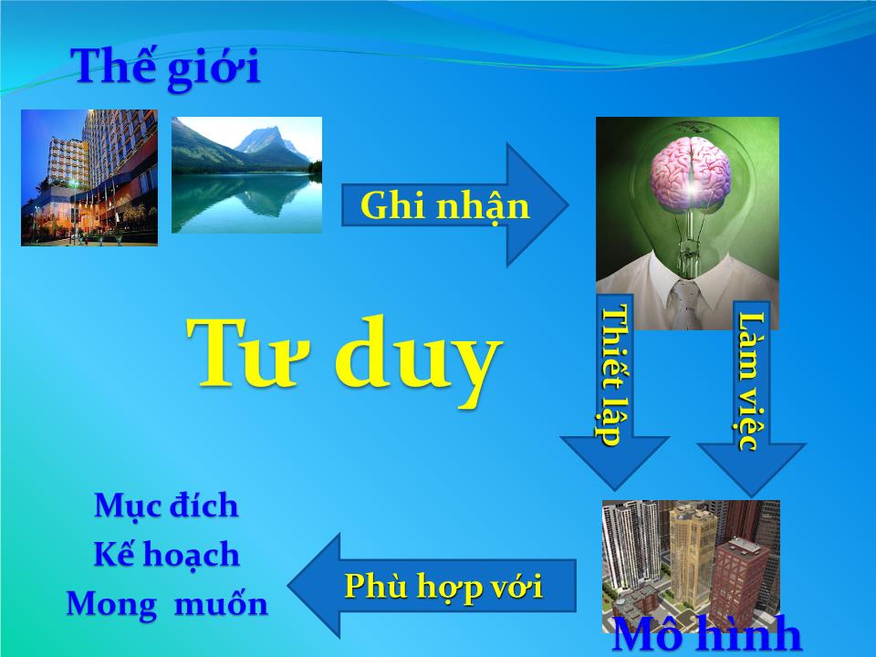 Bài giảng Kỹ năng tư duy trang 8