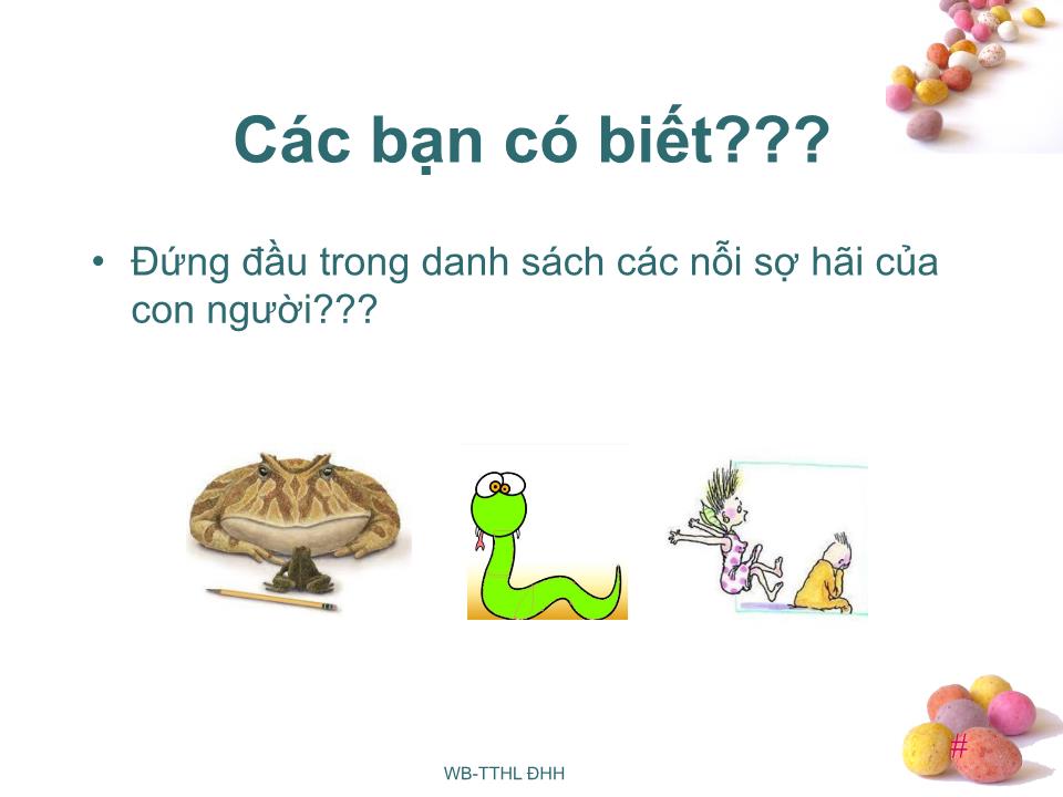 Bài giảng Kỹ năng thuyết trình - Nguyễn Diệu Huyền trang 5