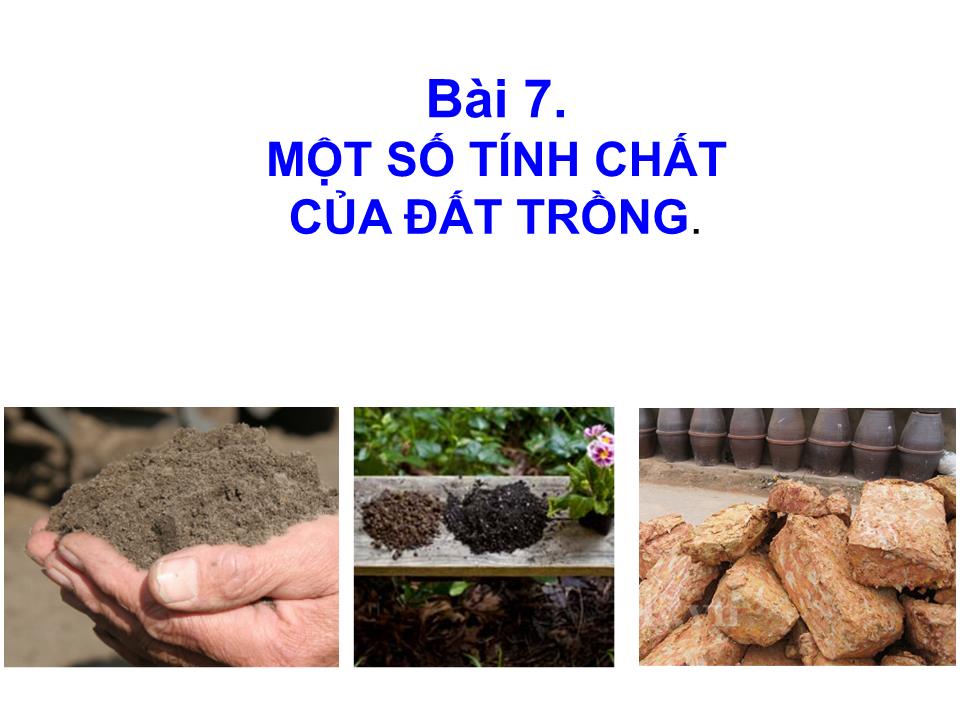 Bài giảng Công nghệ Lớp 10 - Bài 7: Một số tính chất của đất trồng trang 2