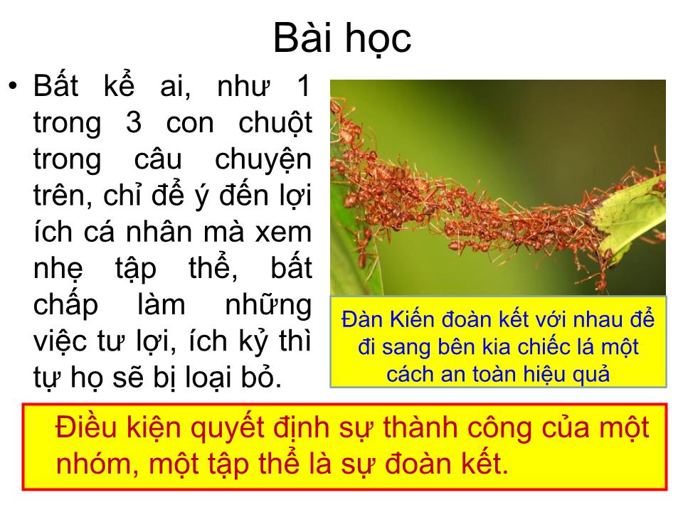 Bài giảng Đạo đức Lớp 3 - Bài 1, Tiết 1: Đoàn kết - Năm học 2020-2021 trang 10