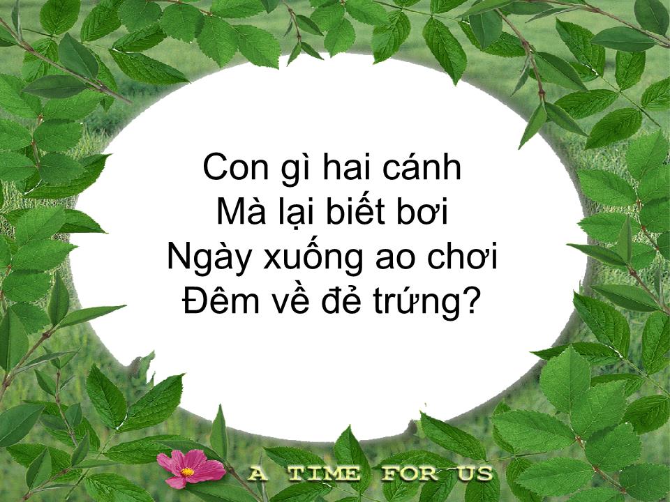 Bài giảng Lớp Lá - Đếm đến 8. Nhận biết nhóm có số lượng 8. Nhận biết số 8 - Phạm Thị Khánh trang 6