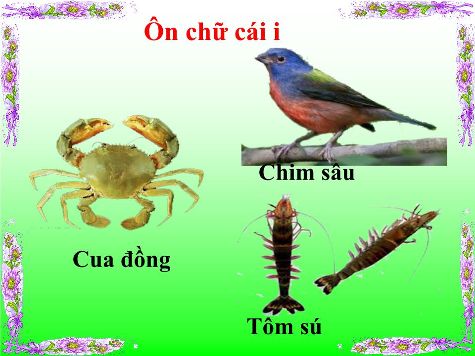 Bài giảng Lớp Lá - Trò chơi nhóm chữ cái i, t, c, b, d, đ - Giang Thị Phương trang 5