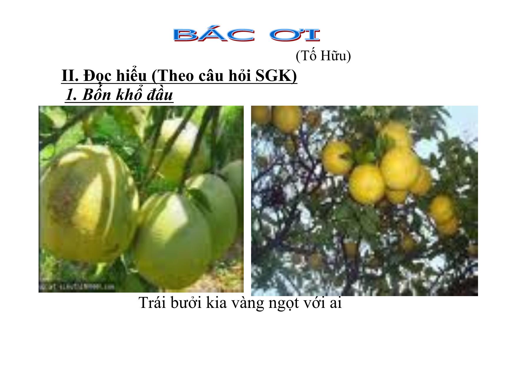 Bài giảng Ngữ văn Lớp 12 - Văn bản: Bác ơi trang 8