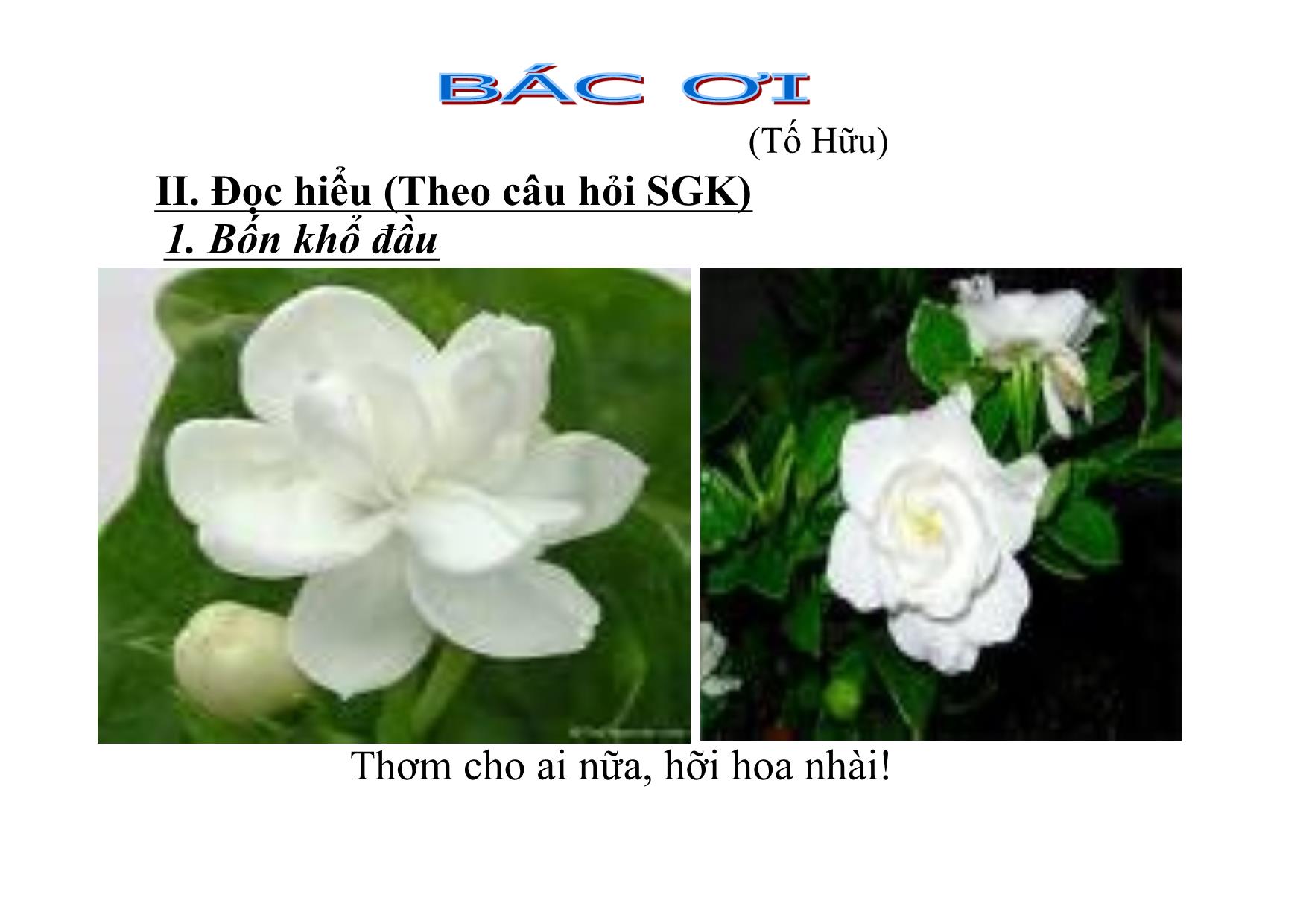 Bài giảng Ngữ văn Lớp 12 - Văn bản: Bác ơi trang 9