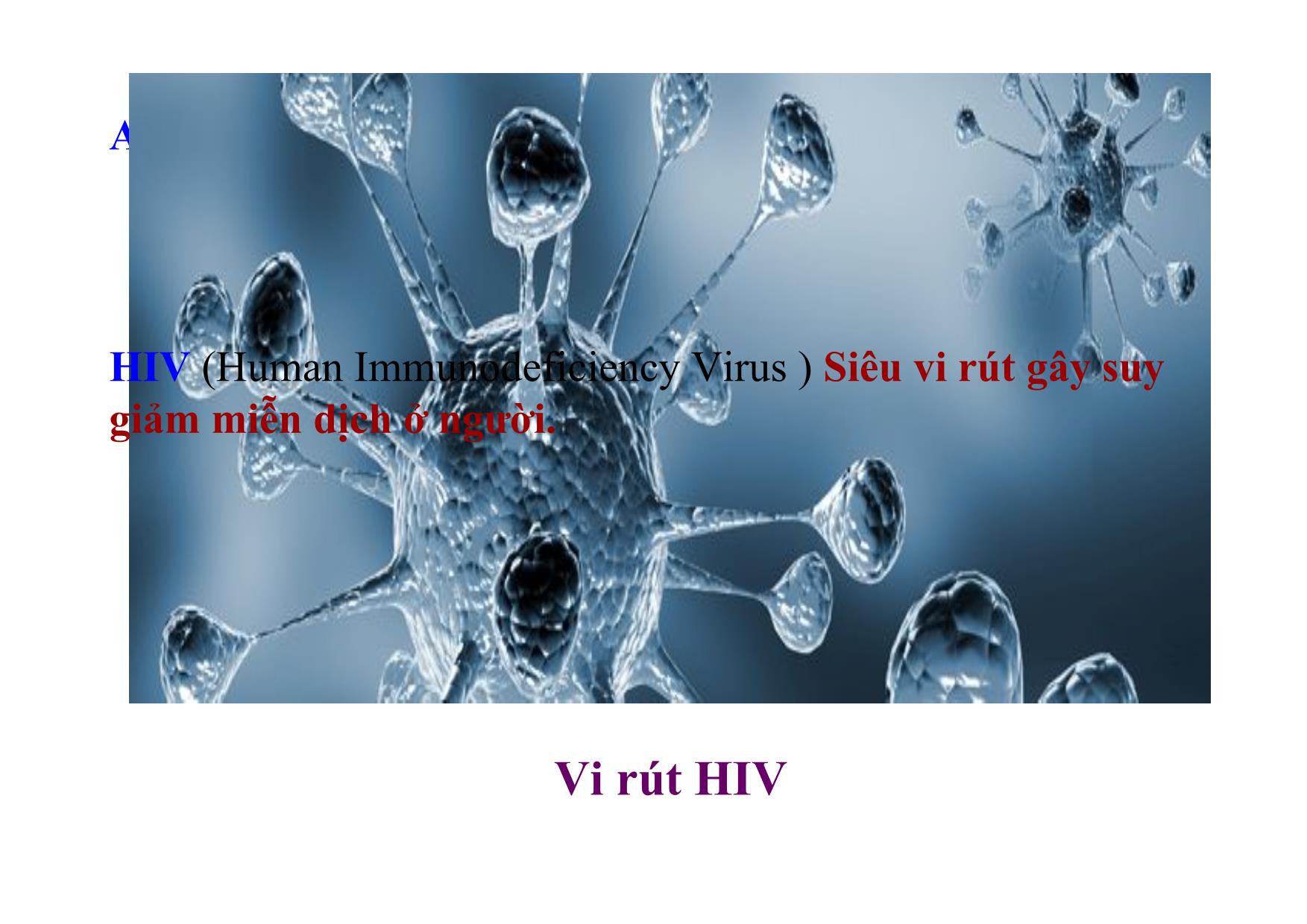 Bài giảng Ngữ văn Lớp 12 - Văn bản: Thông điệp nhân ngày thế giới phòng chống AIDS, 1- 12 - 2003 trang 7