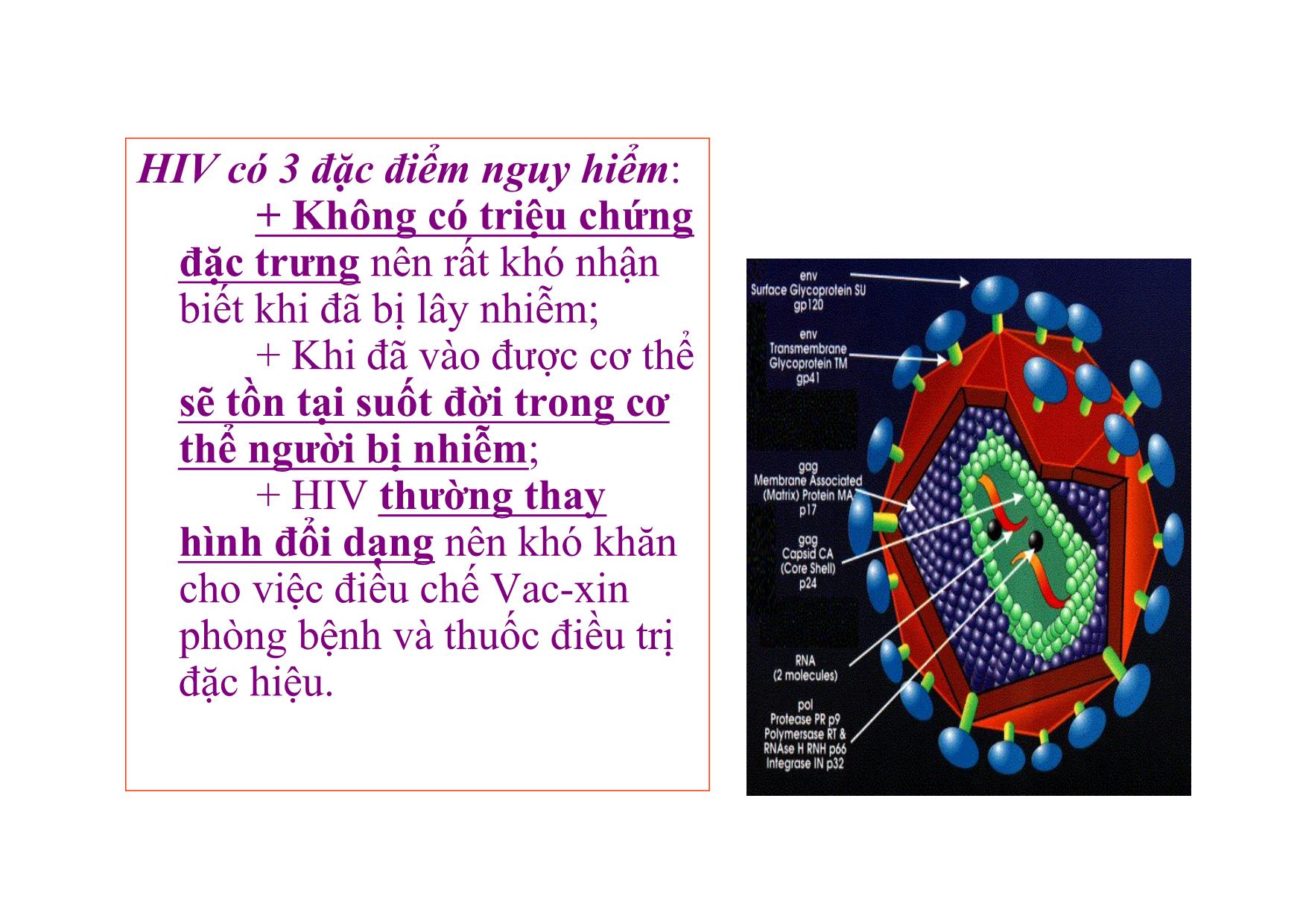 Bài giảng Ngữ văn Lớp 12 - Văn bản: Thông điệp nhân ngày thế giới phòng chống AIDS, 1- 12 - 2003 trang 8