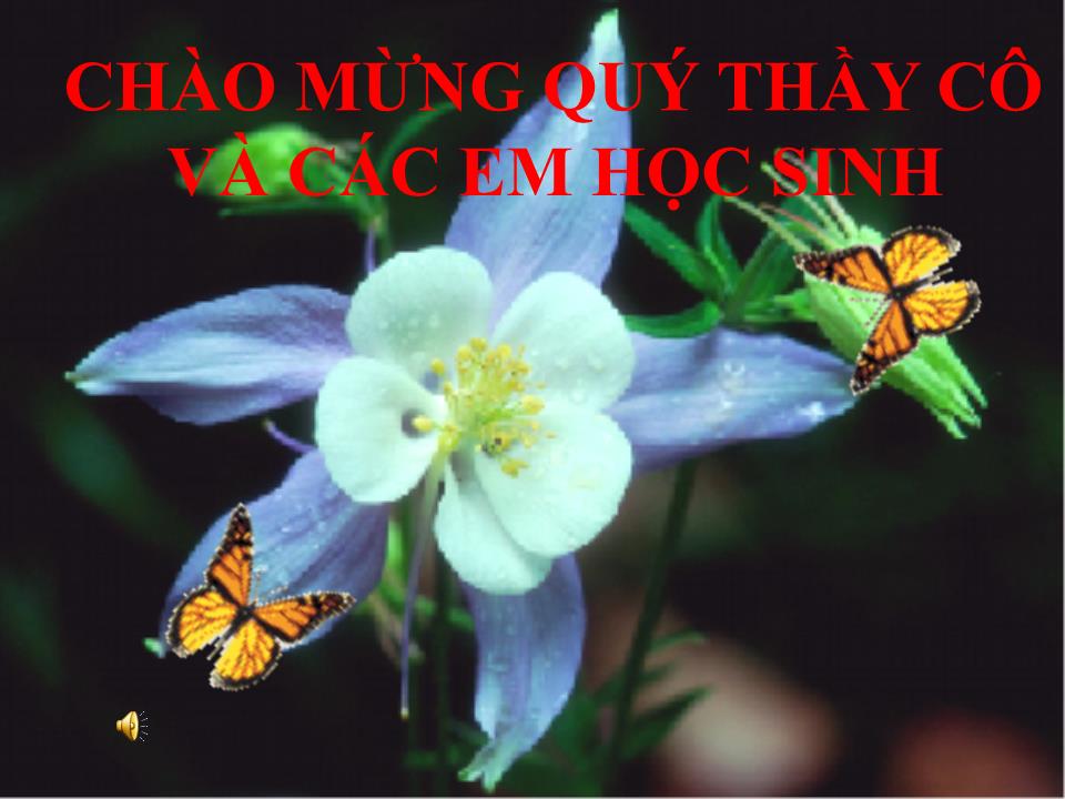 Bài giảng Sinh học Lớp 9 - Chương 4: Biến dị - Bài 21: Đột biến gen trang 1