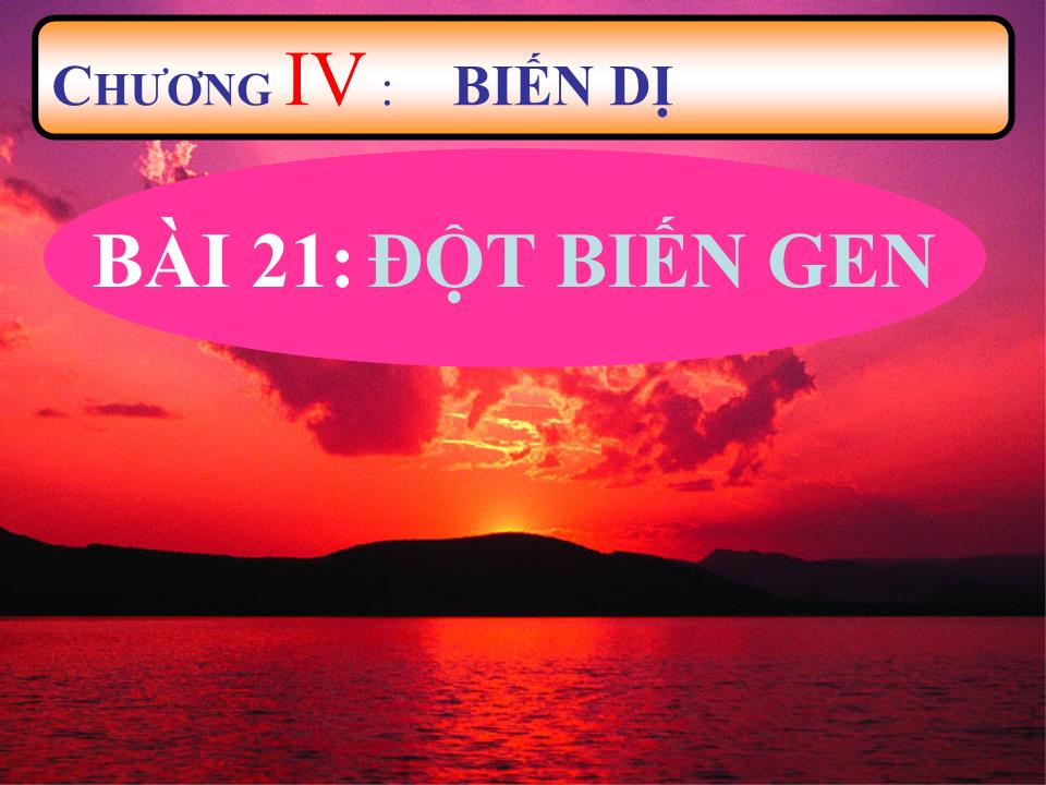 Bài giảng Sinh học Lớp 9 - Chương 4: Biến dị - Bài 21: Đột biến gen trang 2