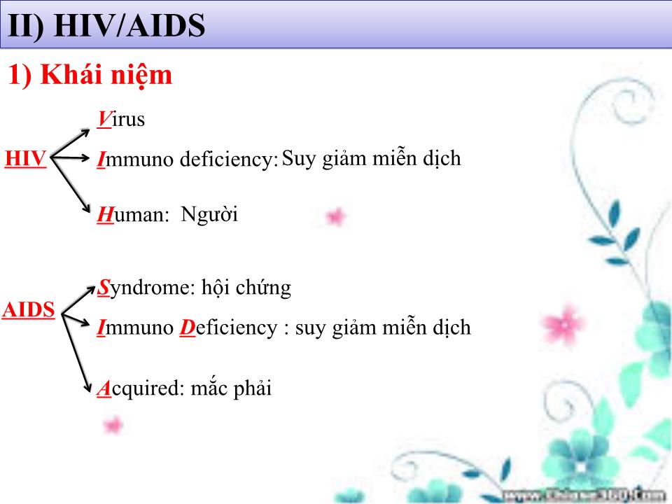 Bài giảng Sinh học Lớp 10 - Bài 30: Sự nhân lên của virut trong tế bào chủ trang 3