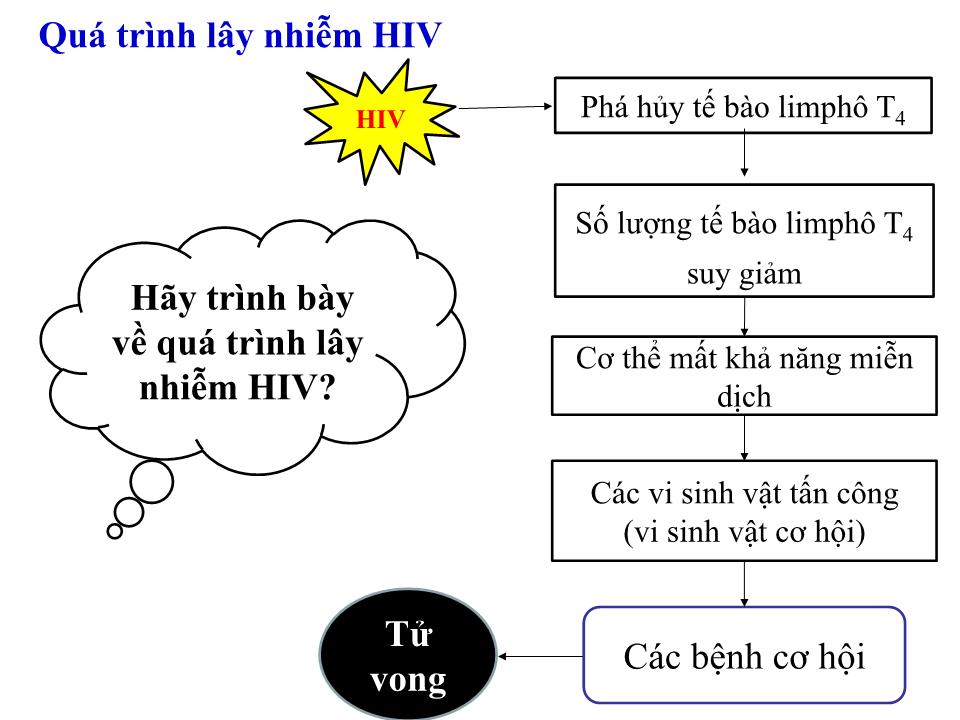 Bài giảng Sinh học Lớp 10 - Bài 30: Sự nhân lên của virut trong tế bào chủ trang 6