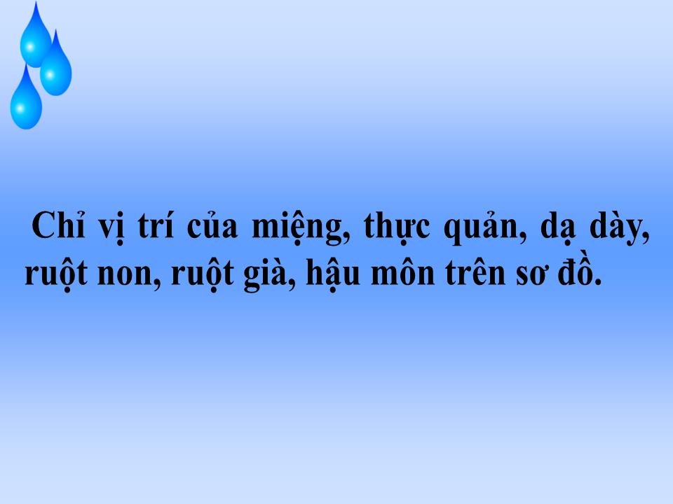 Bài giảng Tự nhiên và xã hội Lớp 2 - Bài 5: Cơ quan tiêu hóa trang 8