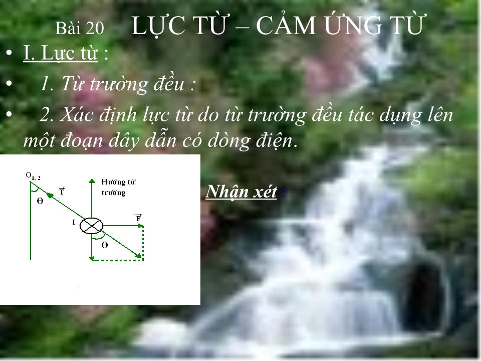 Bài giảng Vật lí Lớp 11 - Bài 20: Lực từ. Cảm ứng từ trang 10