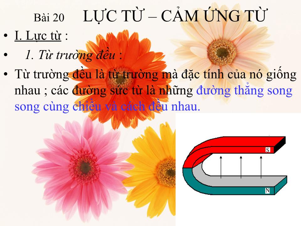 Bài giảng Vật lí Lớp 11 - Bài 20: Lực từ. Cảm ứng từ trang 4