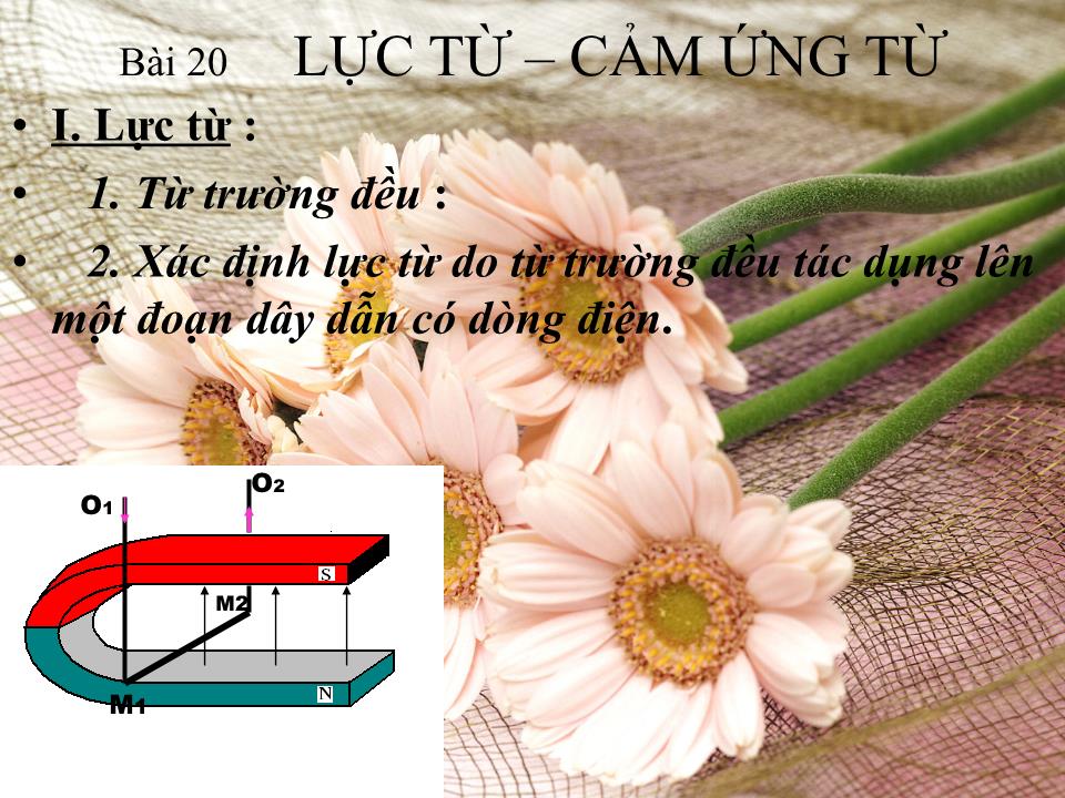 Bài giảng Vật lí Lớp 11 - Bài 20: Lực từ. Cảm ứng từ trang 5