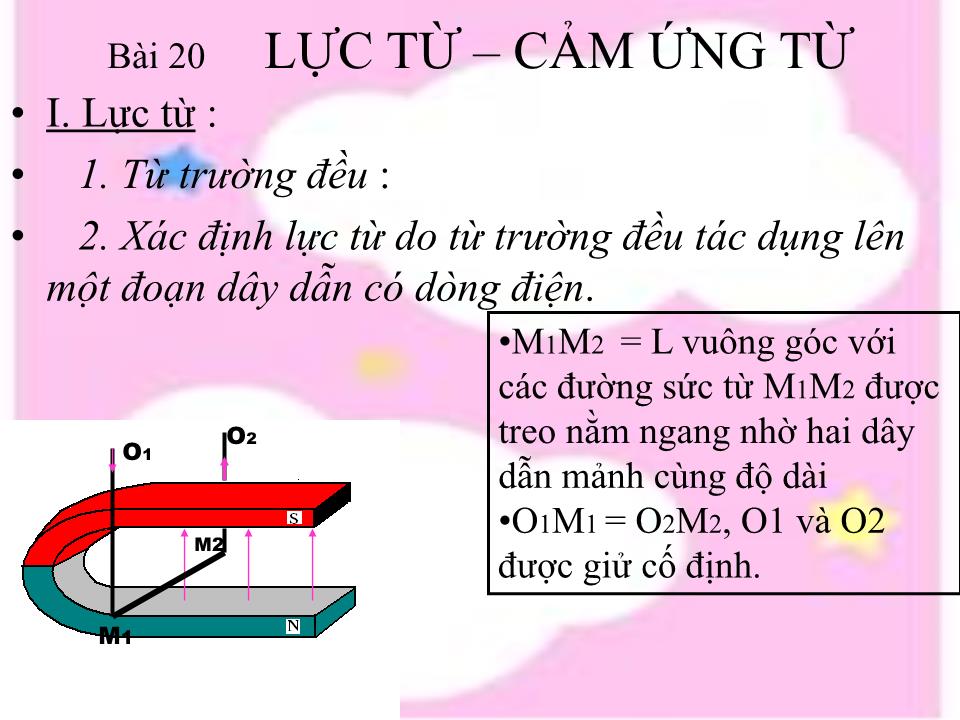 Bài giảng Vật lí Lớp 11 - Bài 20: Lực từ. Cảm ứng từ trang 6