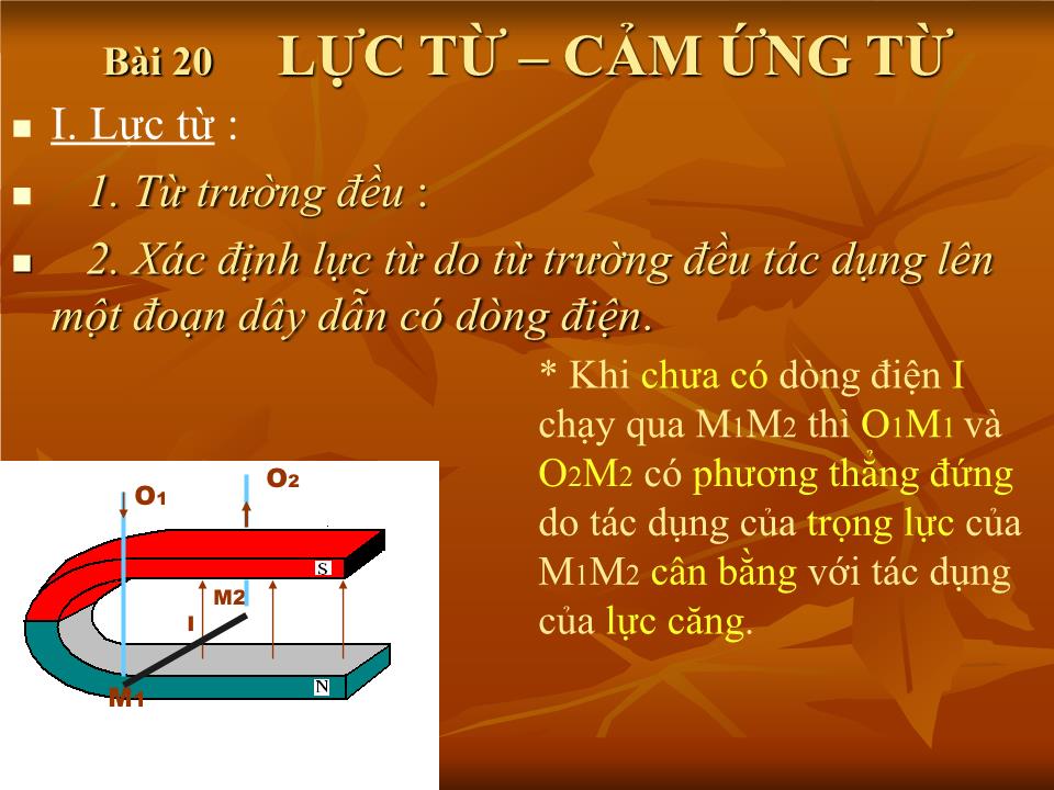 Bài giảng Vật lí Lớp 11 - Bài 20: Lực từ. Cảm ứng từ trang 7