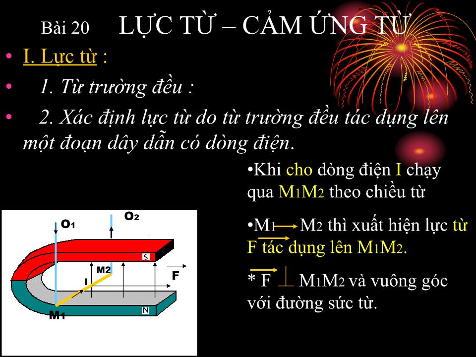 Bài giảng Vật lí Lớp 11 - Bài 20: Lực từ. Cảm ứng từ trang 8