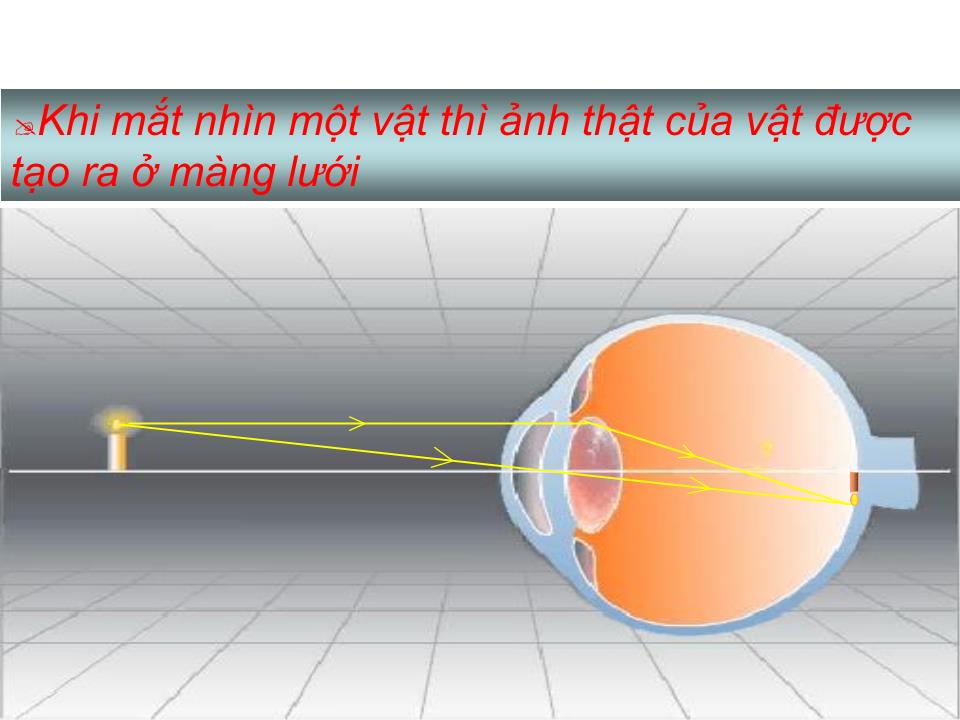 Bài giảng Vật lí Lớp 11 - Bài 31: Mắt trang 10