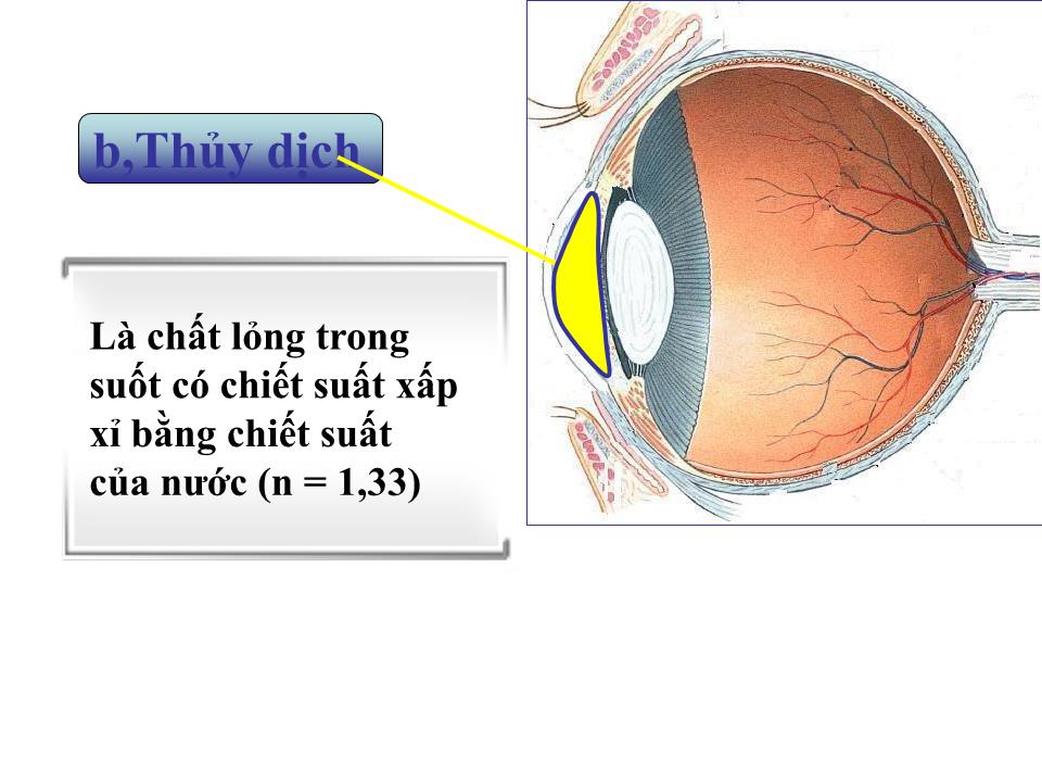 Bài giảng Vật lí Lớp 11 - Bài 31: Mắt trang 4