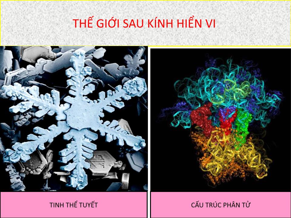 Bài giảng Vật lí Lớp 11 - Bài 33: Kính hiển vi trang 4