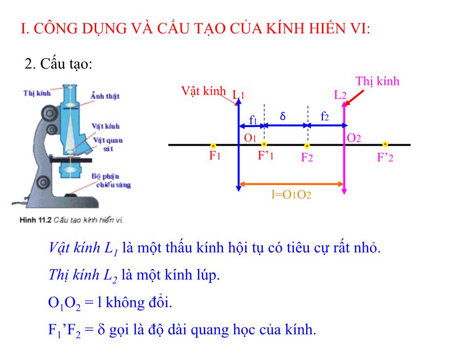 Bài giảng Vật lí Lớp 11 - Bài 33: Kính hiển vi trang 5