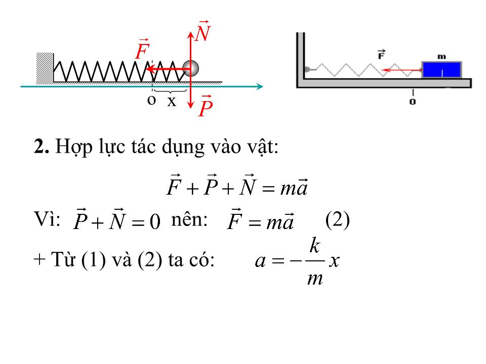 Bài giảng Vật lí Lớp 12 - Bài 2: Con lắc lò xo - Trần Viết Thắng trang 5