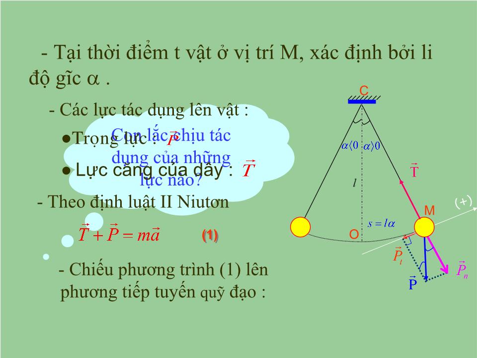 Bài giảng Vật lí Lớp 12 - Bài 3: Con lắc đơn - Tạ Trường Giang trang 8