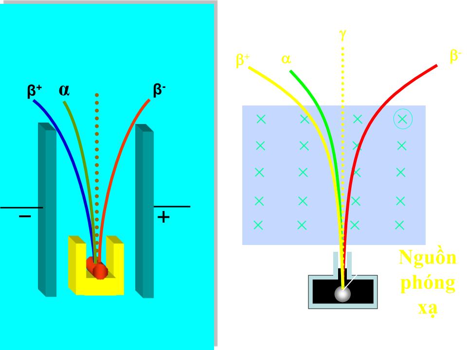 Bài giảng Vật lí Lớp 12 - Bài 53: Phóng xạ trang 6