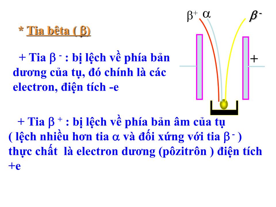 Bài giảng Vật lí Lớp 12 - Bài 53: Phóng xạ trang 8