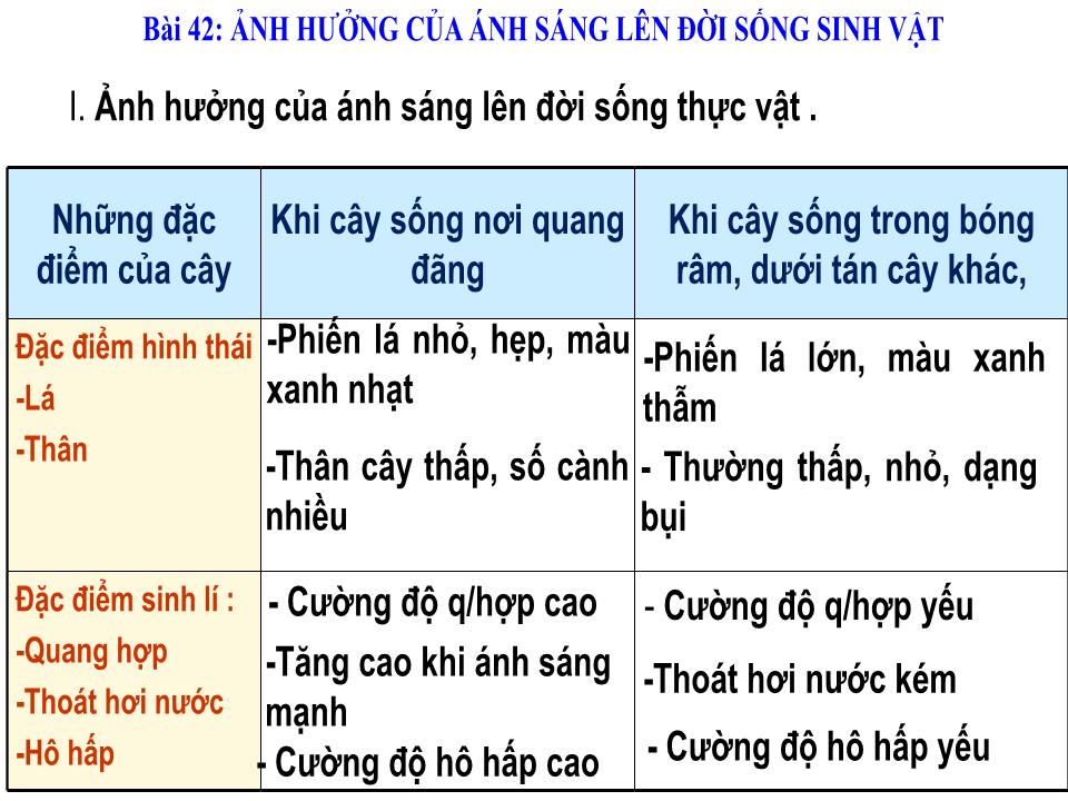 Bài giảng Vật lí Lớp 9 - Bài 42: Ảnh hưởng của ánh sáng lên đời sống sinh vật trang 7