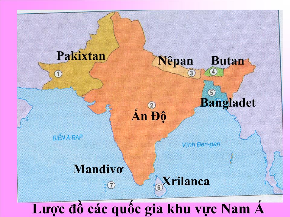 Bài giảng Địa lí Lớp 8 - Bài 12: Đặc điểm tự nhiên khu vực Đông Á trang 3