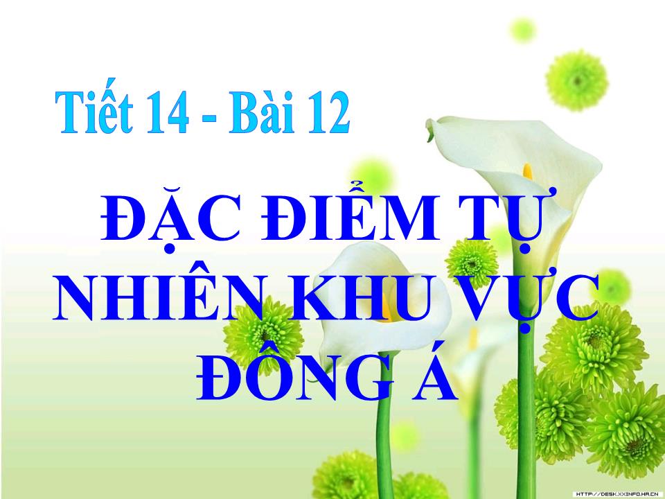 Bài giảng Địa lí Lớp 8 - Bài 12: Đặc điểm tự nhiên khu vực Đông Á trang 5