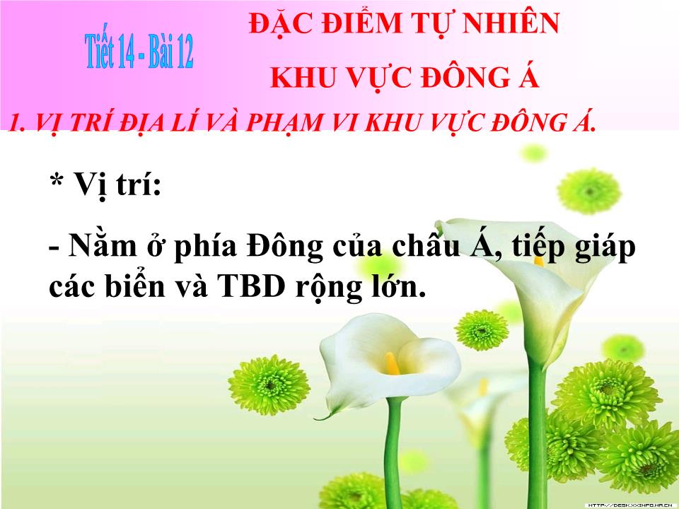 Bài giảng Địa lí Lớp 8 - Bài 12: Đặc điểm tự nhiên khu vực Đông Á trang 7