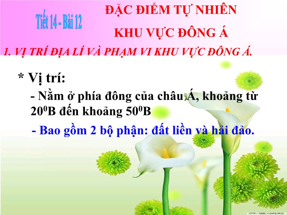 Bài giảng Địa lí Lớp 8 - Bài 12: Đặc điểm tự nhiên khu vực Đông Á trang 9