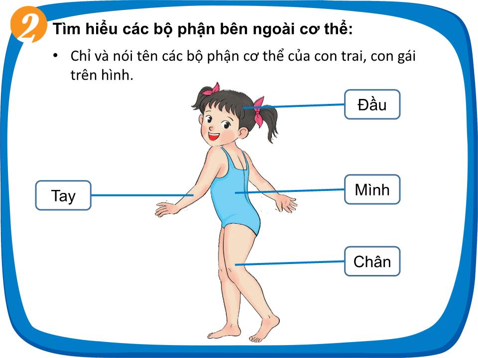 Bài giảng Tự nhiên và xã hội Lớp 1 - Bài 22: Cơ thể của em trang 6