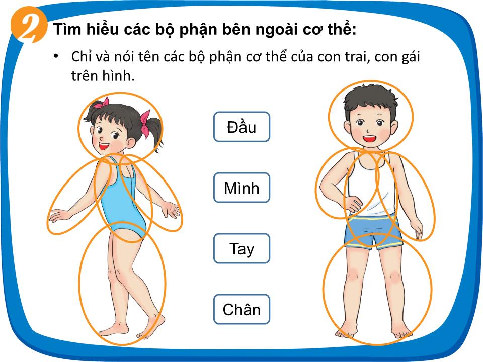 Bài giảng Tự nhiên và xã hội Lớp 1 - Bài 22: Cơ thể của em trang 8