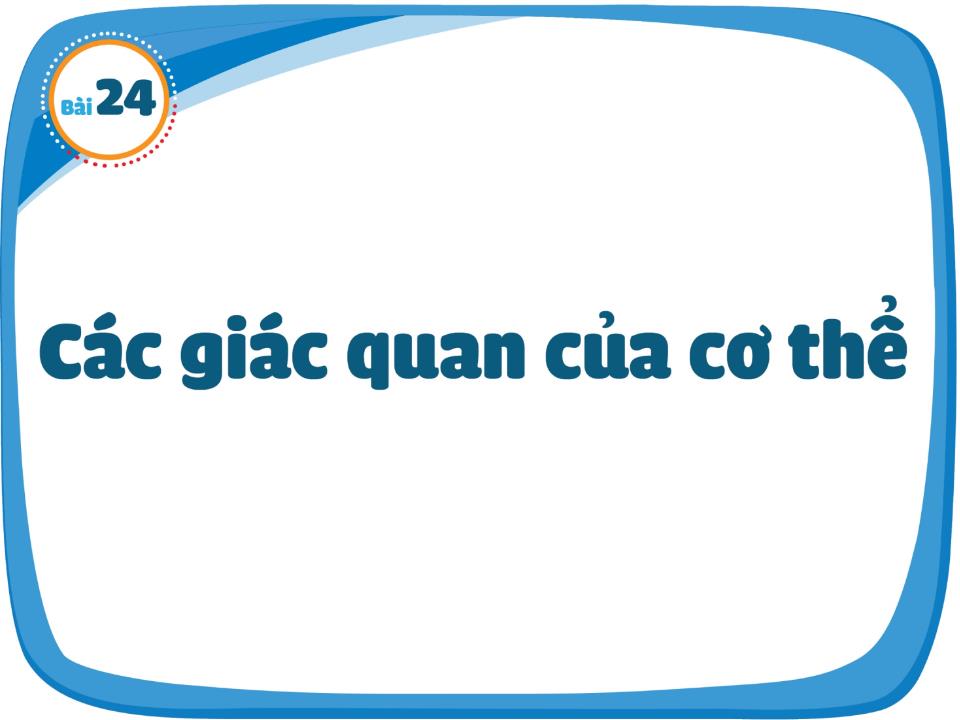 Bài giảng Tự nhiên và xã hội Lớp 1 - Bài 24: Các giác quan của cơ thể trang 3