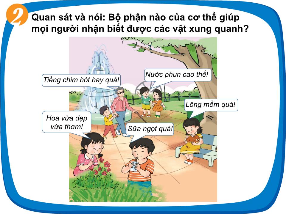 Bài giảng Tự nhiên và xã hội Lớp 1 - Bài 24: Các giác quan của cơ thể trang 5