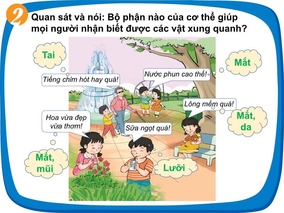 Bài giảng Tự nhiên và xã hội Lớp 1 - Bài 24: Các giác quan của cơ thể trang 6