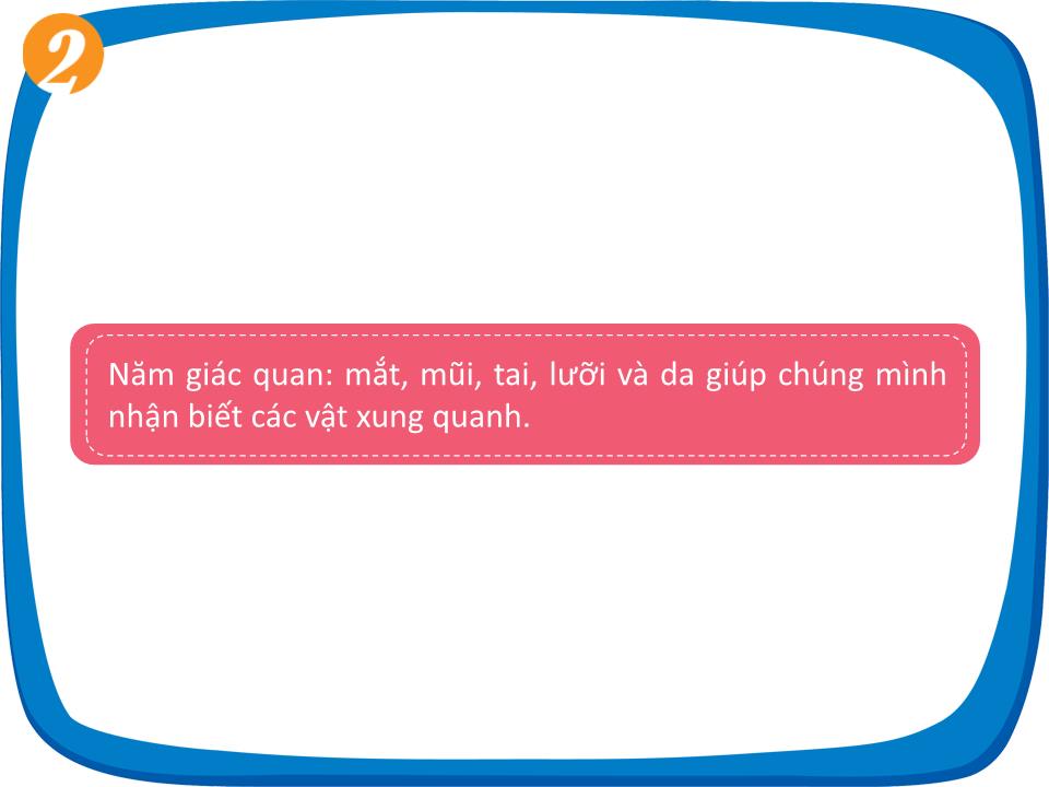 Bài giảng Tự nhiên và xã hội Lớp 1 - Bài 24: Các giác quan của cơ thể trang 7