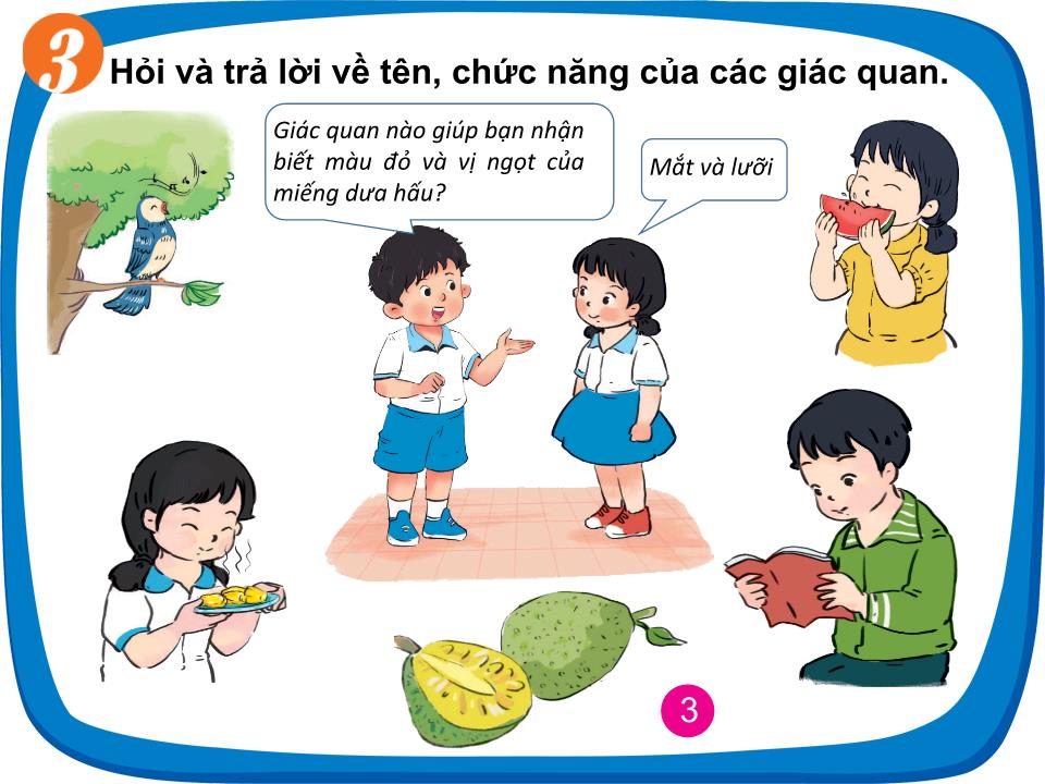 Bài giảng Tự nhiên và xã hội Lớp 1 - Bài 24: Các giác quan của cơ thể trang 8