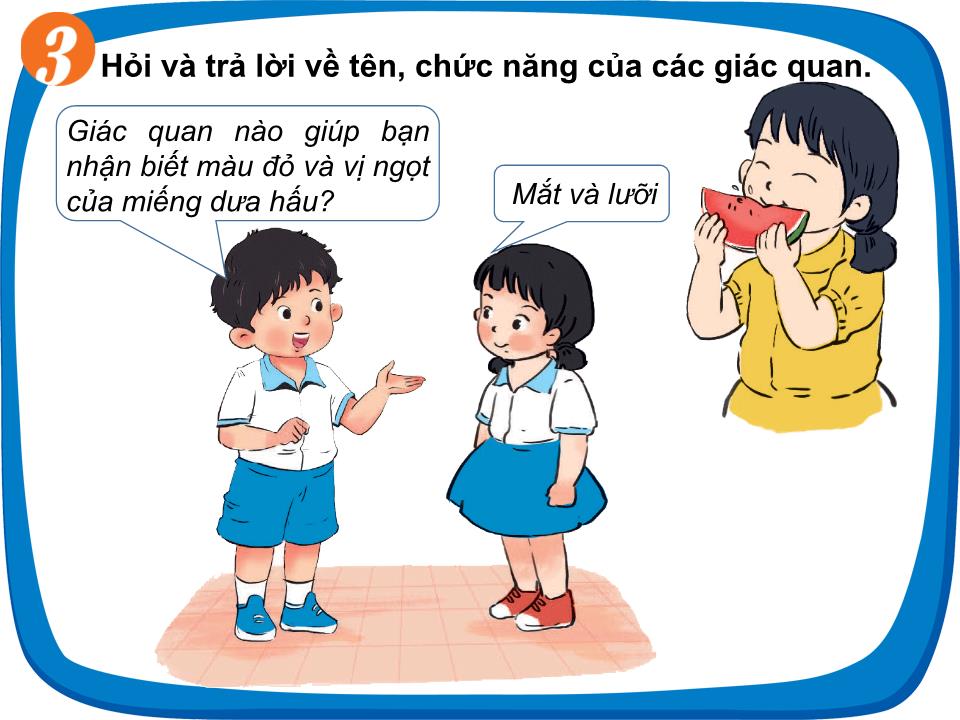 Bài giảng Tự nhiên và xã hội Lớp 1 - Bài 24: Các giác quan của cơ thể trang 9