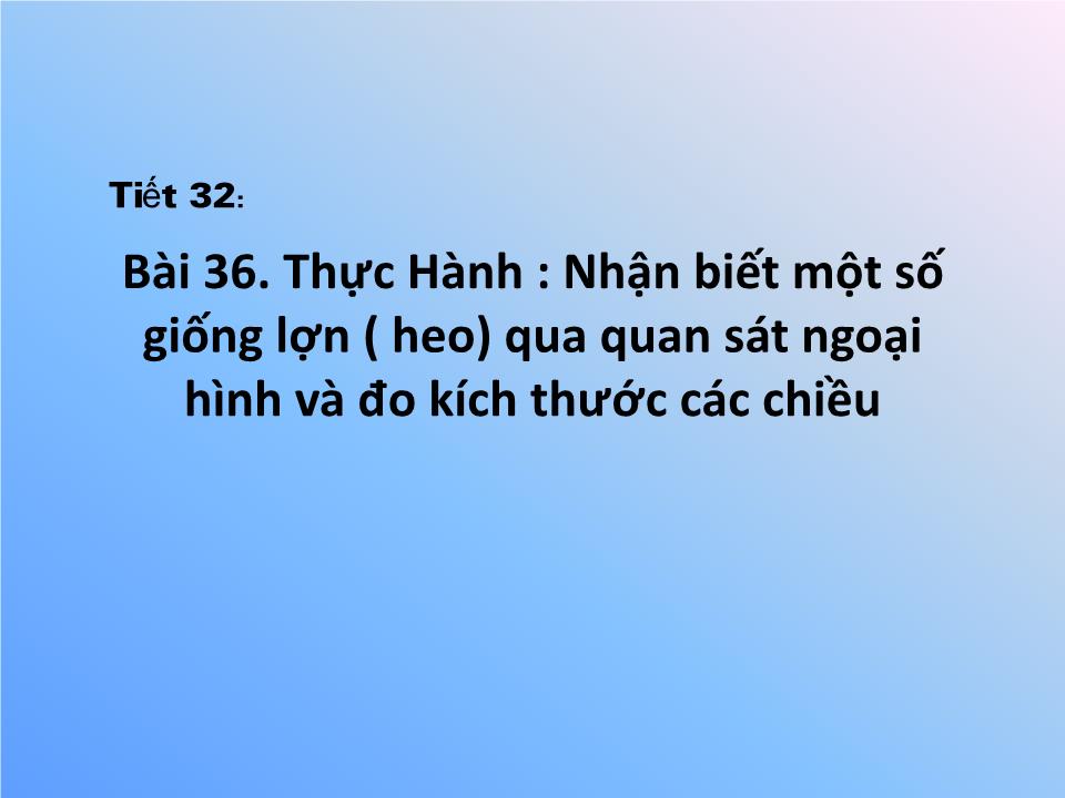 Bài giảng Công nghệ Lớp 7 - Bài 36: Thực Hành Nhận biết một số giống lợn (heo) qua quan sát ngoại hình và đo kích thước các chiều trang 1