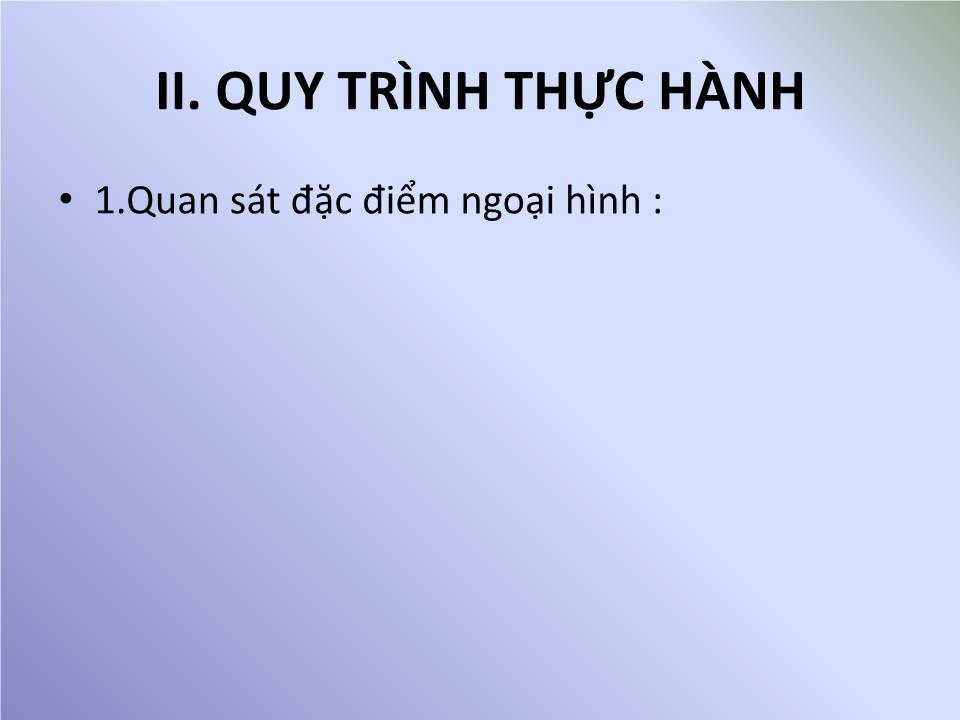 Bài giảng Công nghệ Lớp 7 - Bài 36: Thực Hành Nhận biết một số giống lợn (heo) qua quan sát ngoại hình và đo kích thước các chiều trang 3