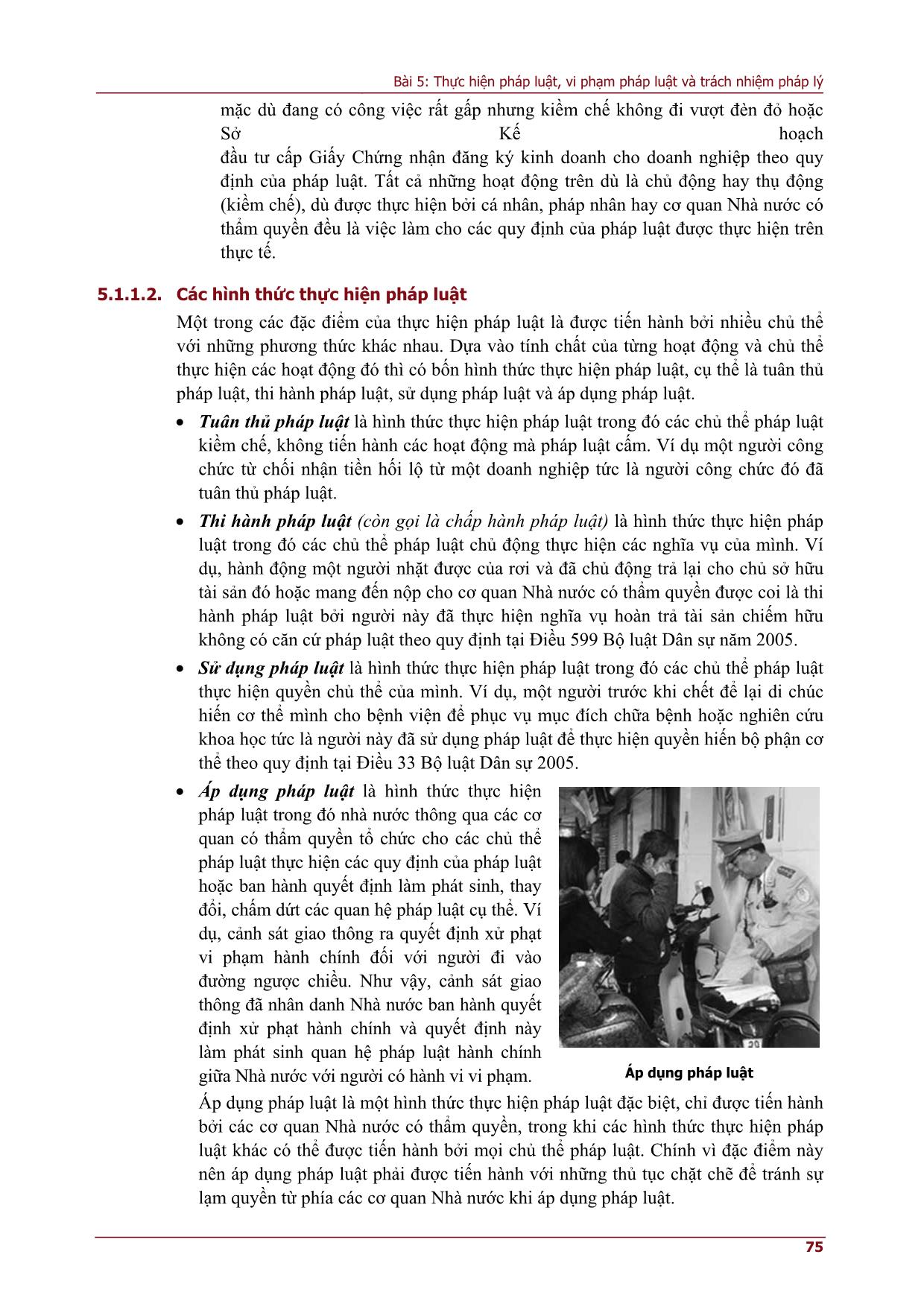 Bài giảng môn Pháp luật đại cương - Bài 5: Thực hiện pháp luật, vi phạm pháp luật và trách nhiệm pháp lý trang 5